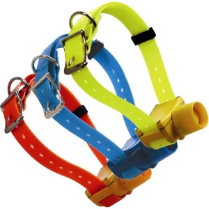 Canibeep Radio Pro collare...