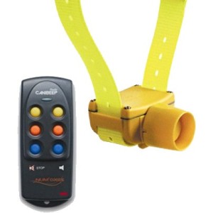 Canibeep Radio Pro...