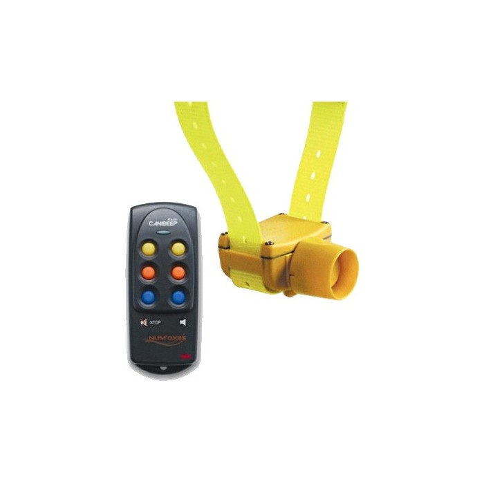 Canibeep Radio Pro telecomando + collare beeper
