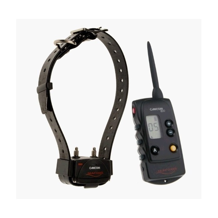 Canicom 800 telecomando + collare addestramento